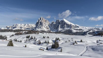 Schneebedeckte Alpenlandschaft mit Bergen und verstreuten Bäumen